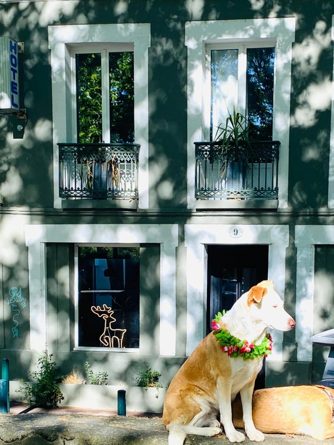 Superbe Grande Maison - Amis - Familles - Entreprises Τουλούζη Εξωτερικό φωτογραφία